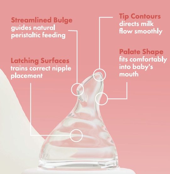 Minbie teat anatomy: streamlined bulge, latching surfaces, tip contours and palate shape, with callouts showing their positions